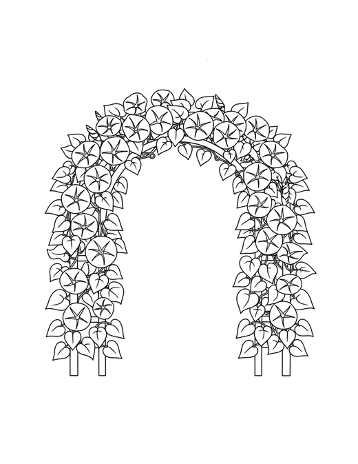 Page 12: A wide arched trellis covered in large blooming morning glory vines.